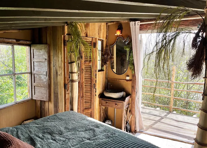 Hotel met uitzicht: Bamboo Lodge Groningen